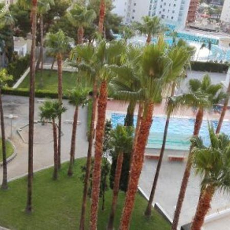Family Apartment Near Of Beach Benidorm Eksteriør billede